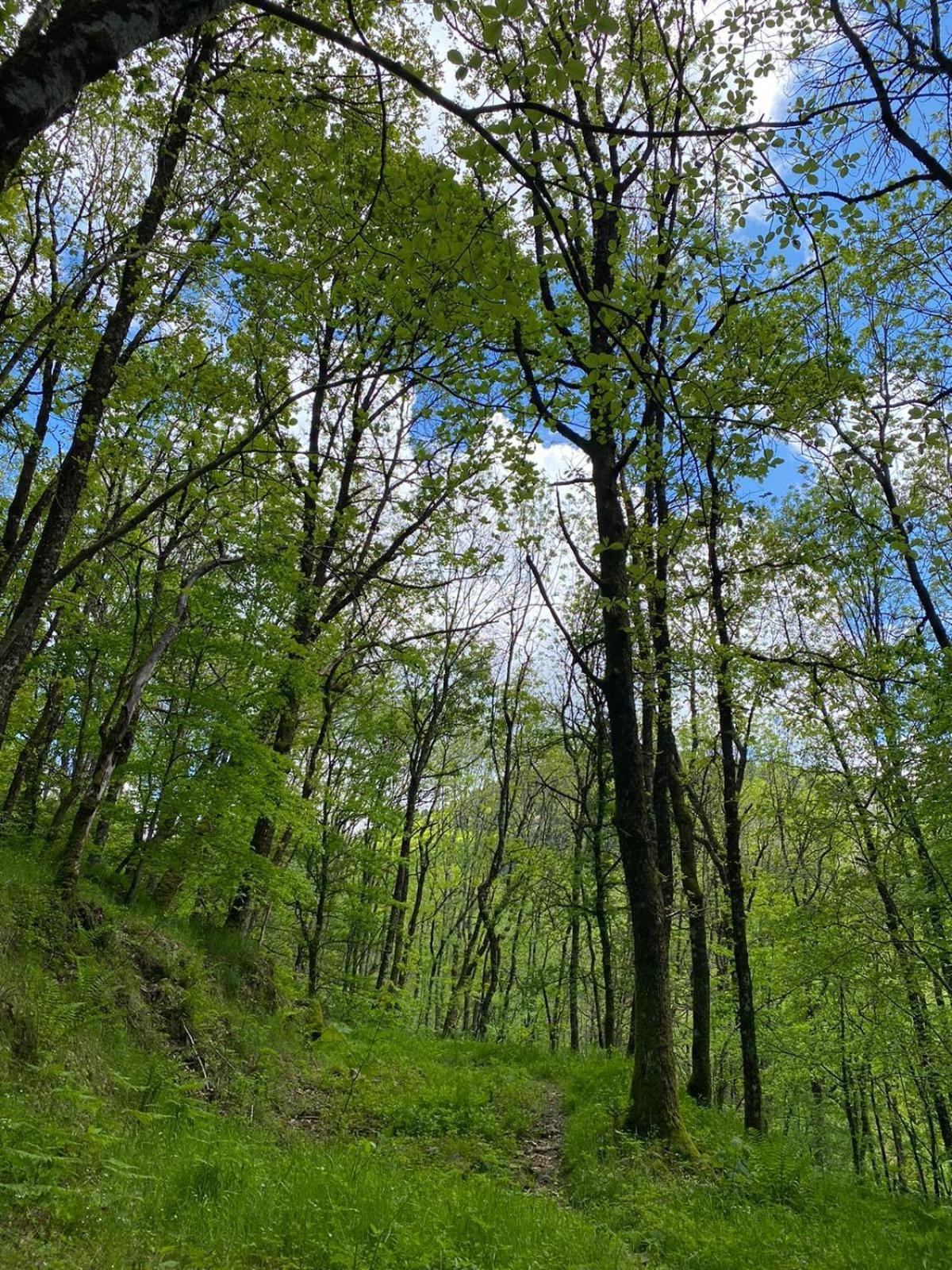 Saint-André-de-ValborgneL'Evidence公寓 外观 照片